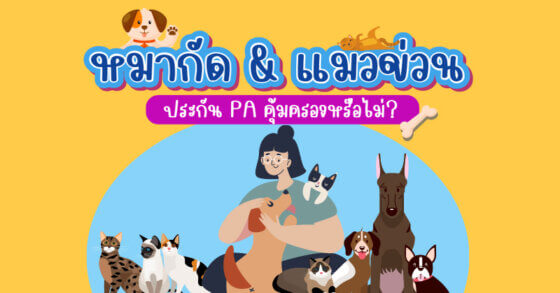 หมากัด & แมวข่วน ประกันอุบัติเหตุคุ้มครองหรือไม่?