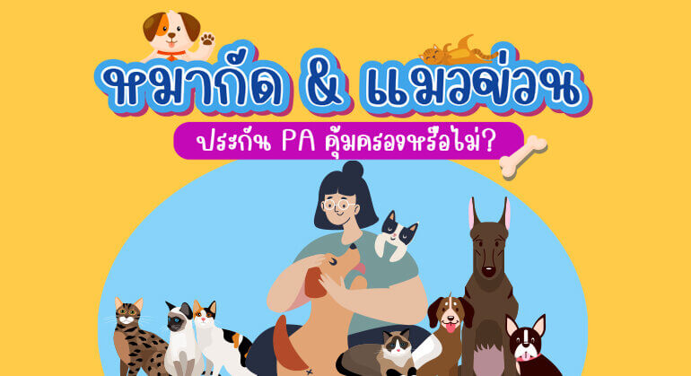 หมากัด & แมวข่วน ประกันอุบัติเหตุคุ้มครองหรือไม่?