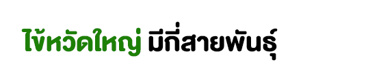 ไข้หวัดใหญ่มีสายพันธ์ไหนบ้าง