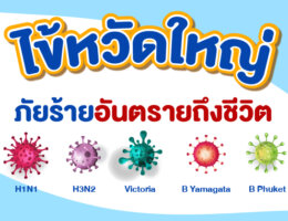 ไข้หวัดใหญ่ ภัยร้ายอันตรายถึงชีวิต
