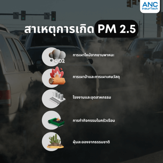 ฝุ่น PM 2.5 วันนี้: สาเหตุ ผลกระทบ และวิธีป้องกันสุขภาพ