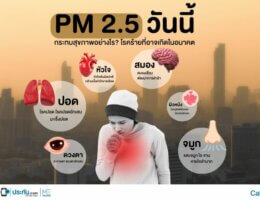 ฝุ่น PM 2.5 วันนี้ ส่งผลกระทบต่อสุขภาพอย่างไร? รู้ทันสาเหตุการเกิดฝุ่นจากยานพาหนะ โรงงาน การเผาป่า และวิธีลดความเสี่ยงจากมลพิษ เพื่อชีวิตที่ปลอดภัยกว่า