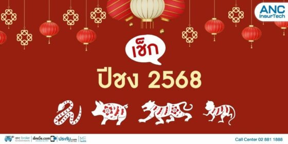 ปีชง 2568 ปีที่ต้องระวัง และวิธีแก้ชงที่ง่ายและได้ผล